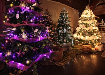 vianočné stromčeky