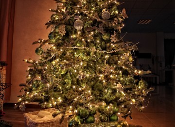 vianočný stromček